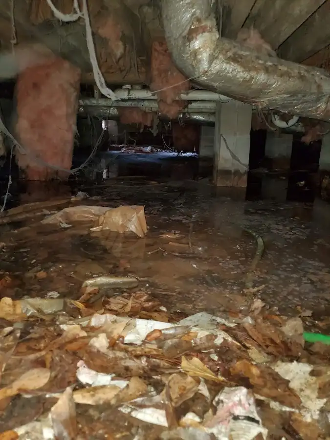 Crawl space flood assessment for Leak Detection & Repair in Sumner